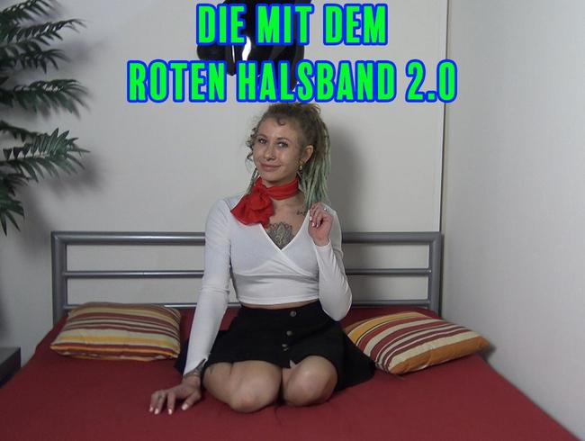 hundebett wolke Kuscheliges Hundebett Orthopdisch, Flauschig, Waschbar Fellnasenstube